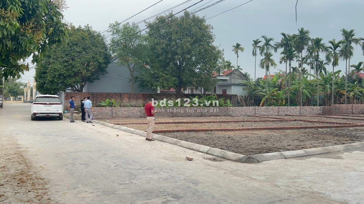 Chính củ cần bán các ô đất đối diện khu quy hoạch đô thị 300ha .