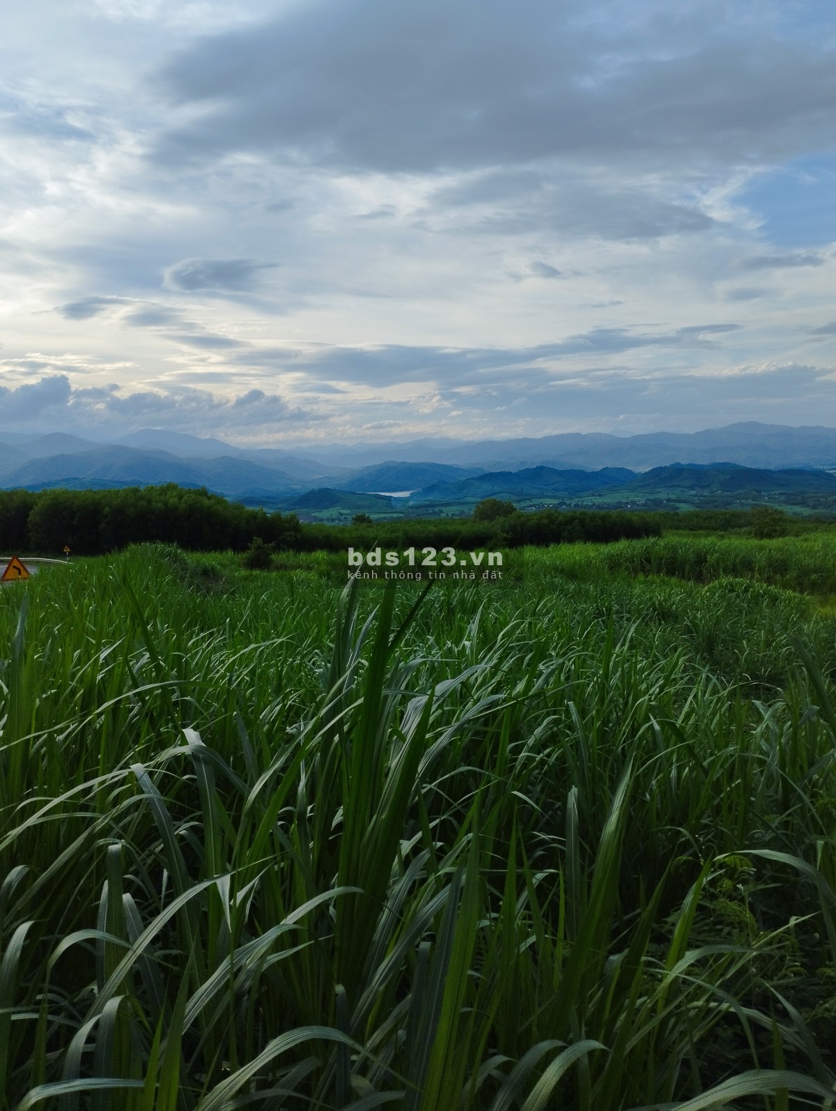 Đất cao nguyên Vân Hoà giá rẻ cần bán view đẹp từ 500 triệu/hec