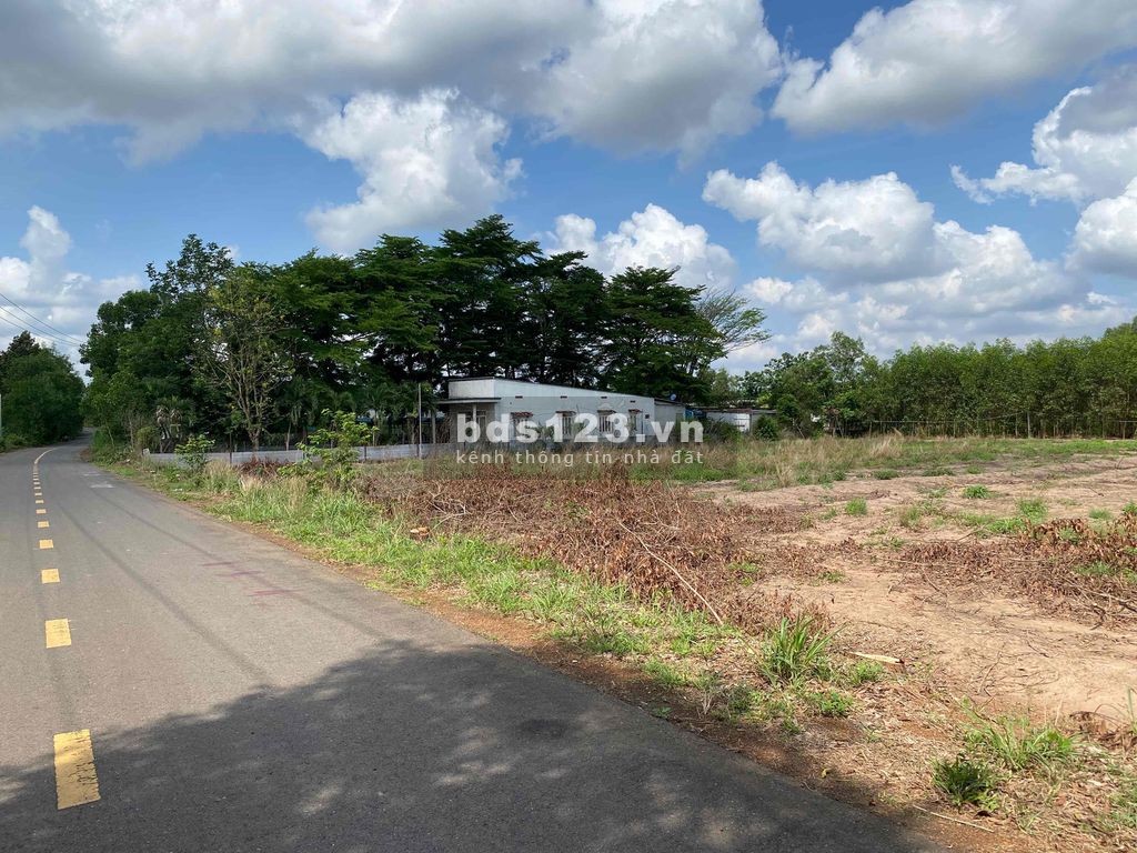 Bán sỉ 5 sổ 1.380m2, giá 568 triệu, đối diện chợ Minh Lập shr, thổ cư đường lớn, lh 0932098211