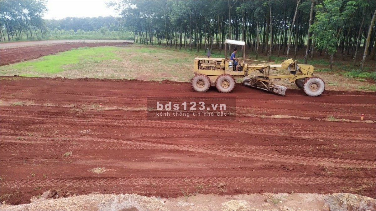 Gấp ! Lô đất vị trí vàng ngay UBND Tân Lợi, sát KCN Becamex 6300 ha chỉ từ 480 tr