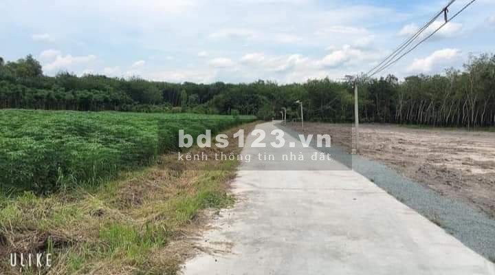 Kẹt tiền cần ra gấp lô đất diện tích 250m² Chơn Thành Bình Phước