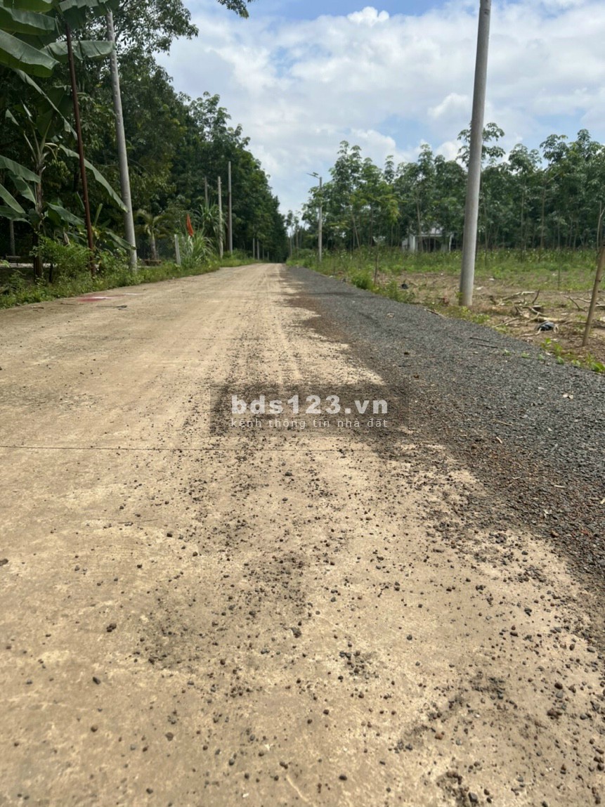 Kẹt tiền cần ra gấp lô đất diện tích 250m² Chơn Thành Bình Phước