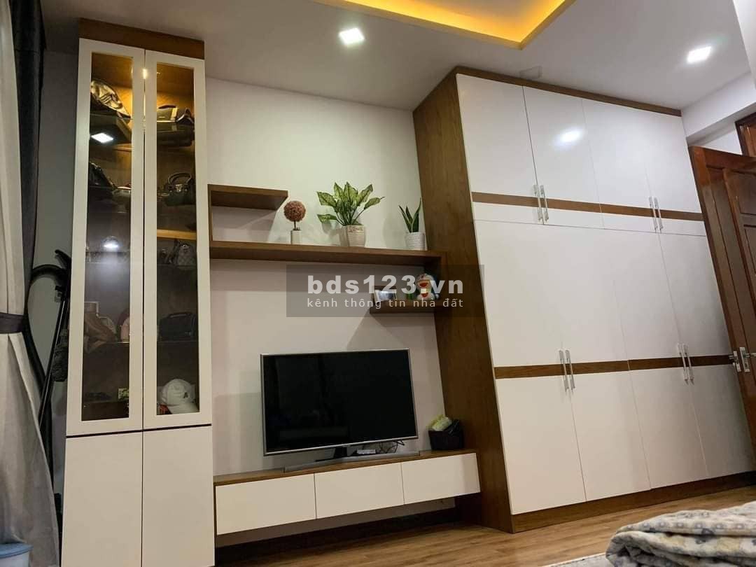 Siêu phẩm nhà đẹp Tân Phú, tặng nội thất cao cấp nhỉnh giá 20 tỷ đồng
