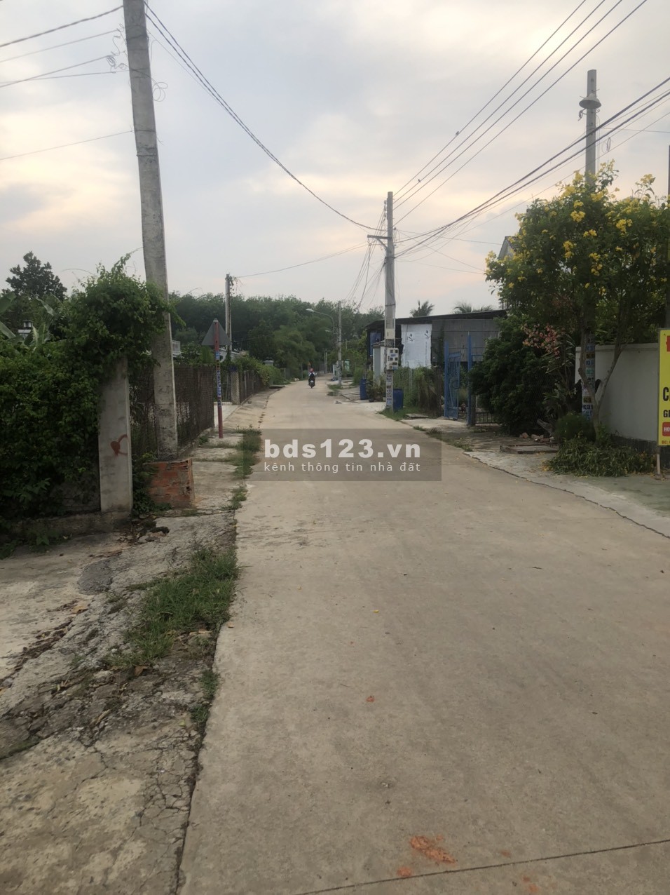 Cần tiền bán gấp lô đất 105m2(5x21) sổ hồng riêng, giá chính chủ
