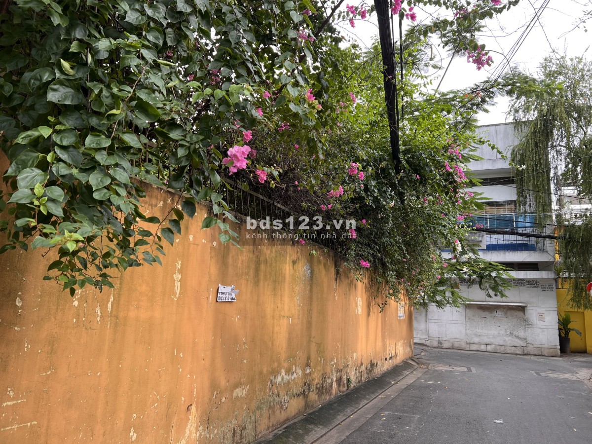 Biệt thự, sân vườn, Hồ Bơi, Thảo Điền, Quận 2 DT 8x20, 220m2 đất, 5 Tầng giá 41 tỷ tl, lh 0911989098