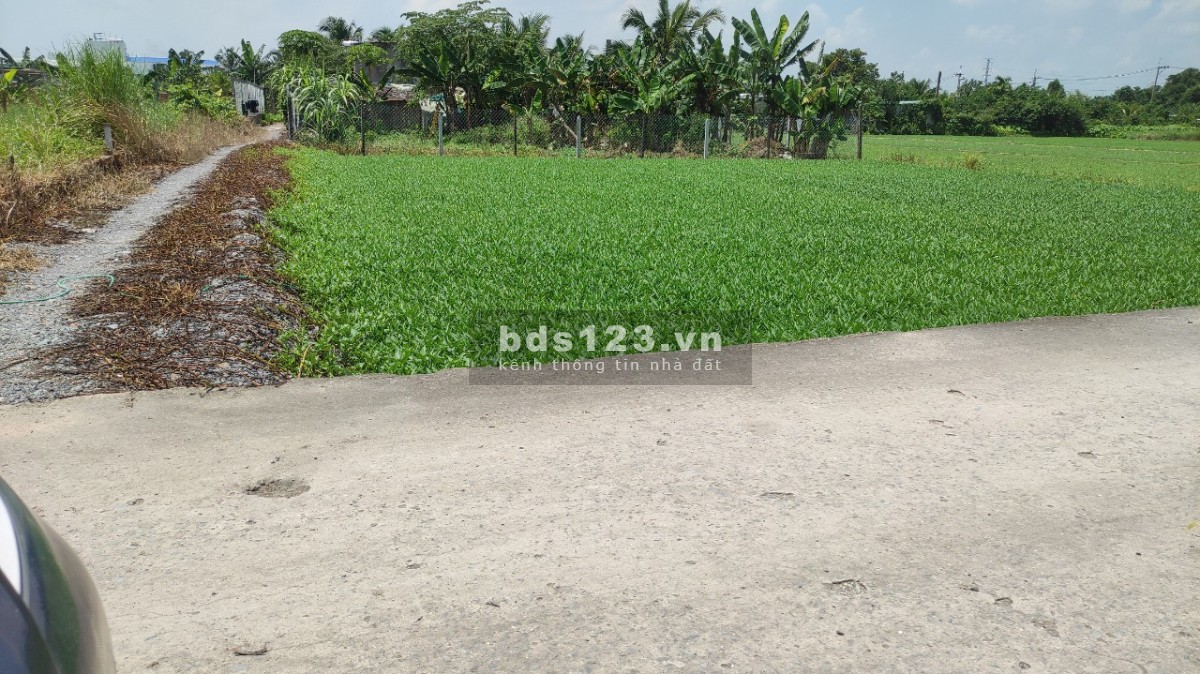 Đất đường bê tông xe tải vào: 5x23m. Bình Mỹ, Củ Chi, chỉ 590 tiệu