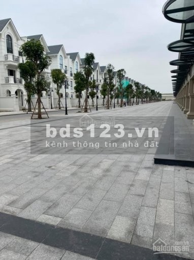 Bán biệt thự song lập dt 150m2, Hải Âu, tuyến phố kinh doanh sầm uất nhất Vinhomes Ocean Park