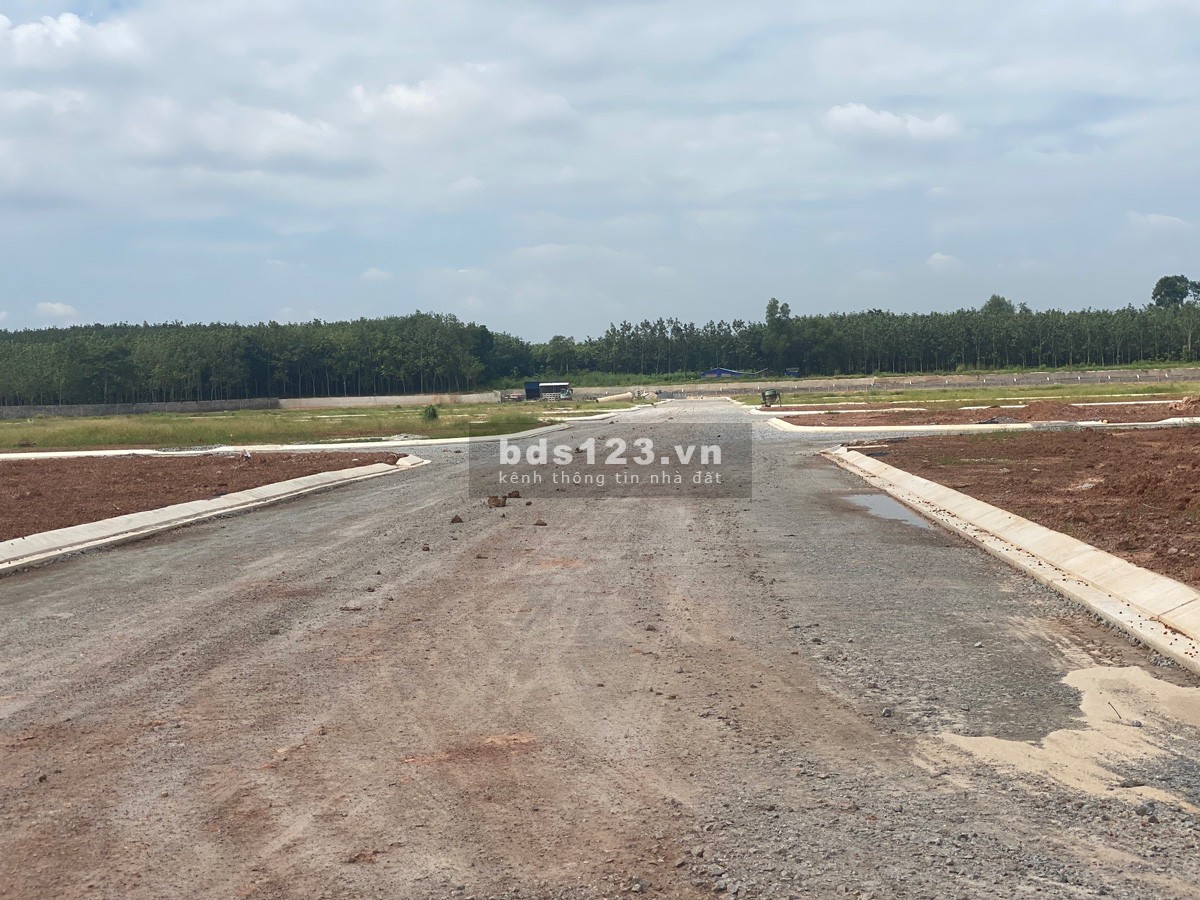 Đất nền dự án Làng Đại Học Cổng Xanh, giá f0 đầu tư lợi nhuận cao.