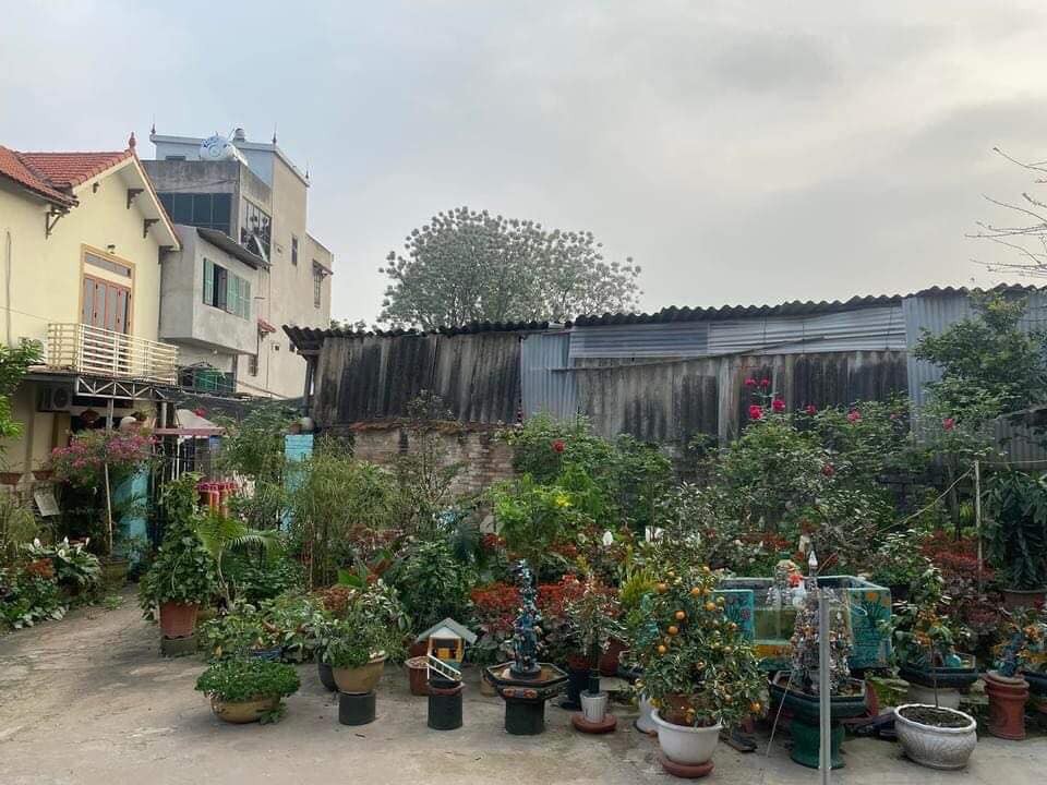 Bán đất Đặng Xá diện tích 91m2, Gia Lâm giá 4 tỷ vị trí đắc địa
