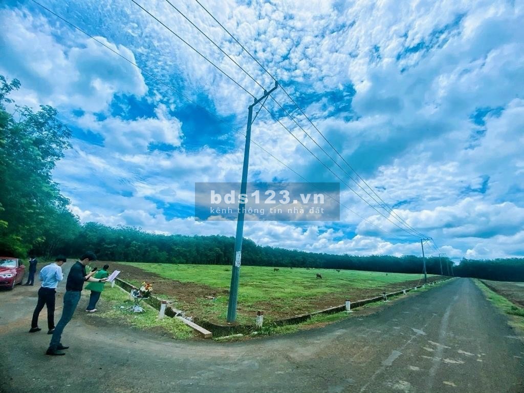 Cần bán gấp lô đất diện tích sử dụng 1000m2 giá 570 triệu