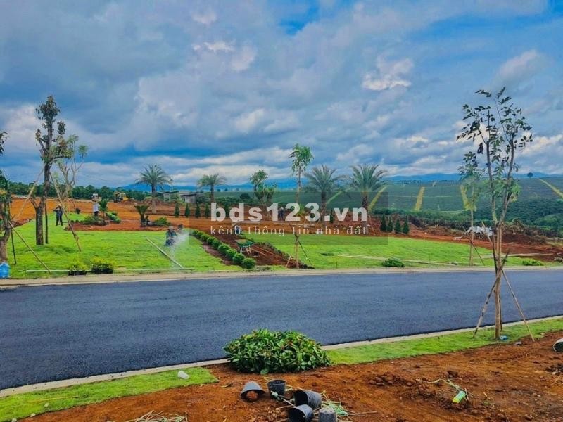 Khu nghỉ đưỡng Palm Garden Bảo Lộc chỉ với 450 triệu sang tên trong ngày
