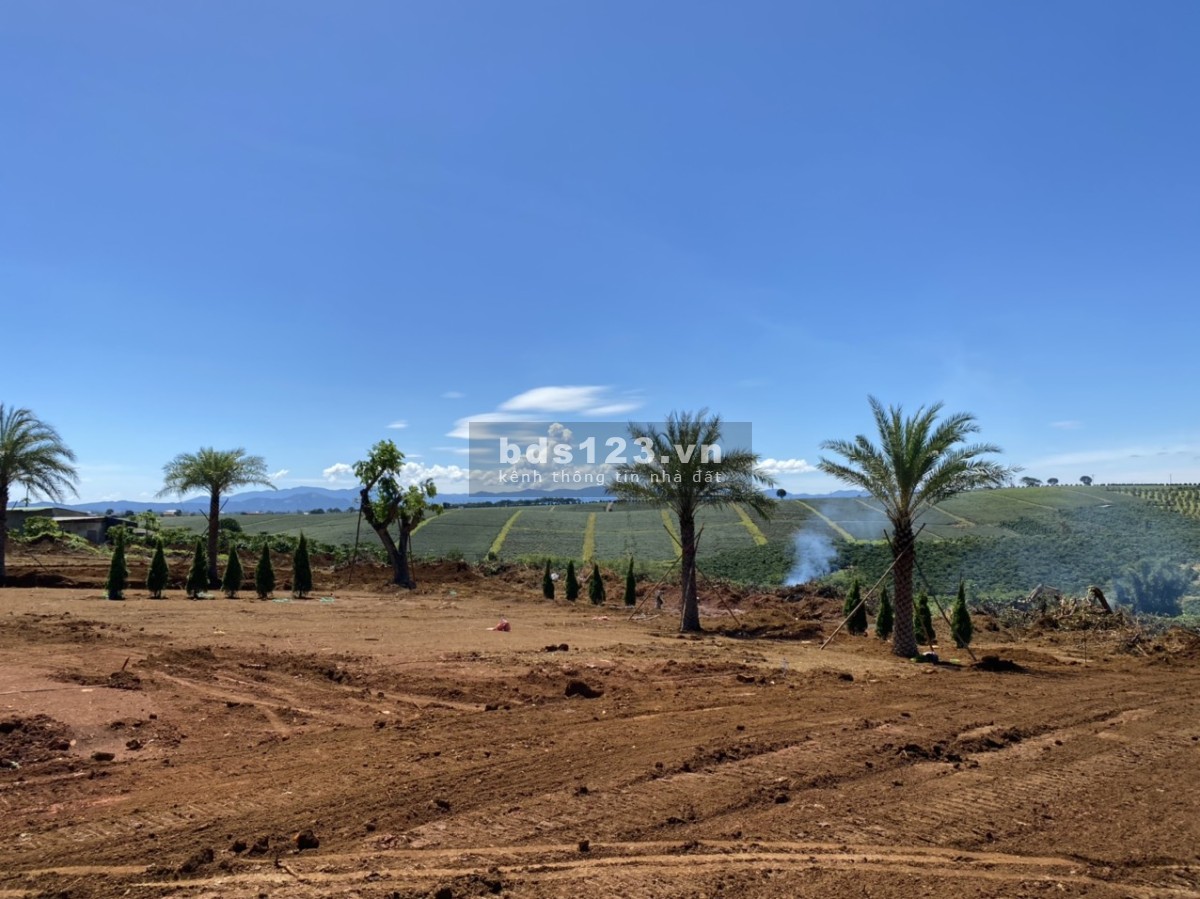 Khu nghỉ dưỡng Palm Garden - Có sổ sẵn công chứng sang tên ngay