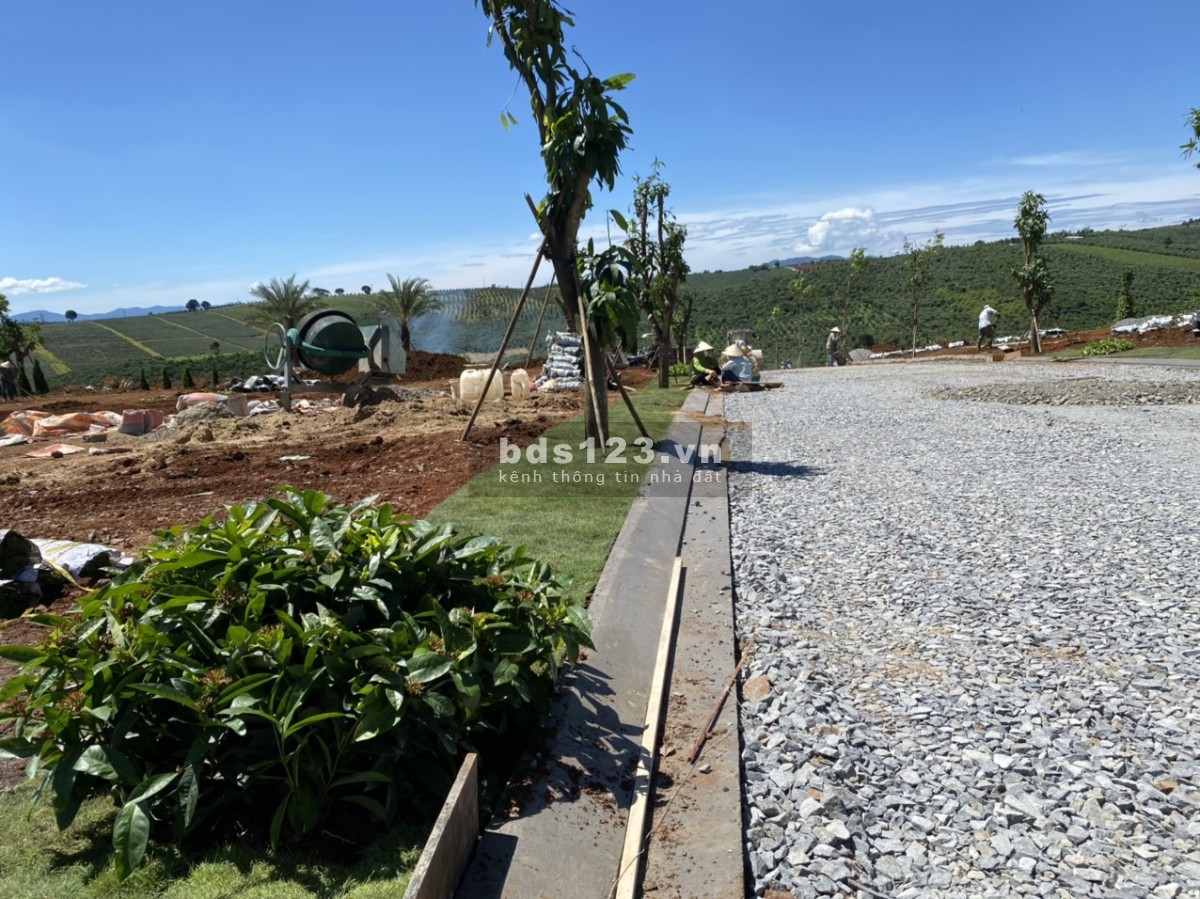 Khu nghỉ dưỡng Palm Garden - Có sổ sẵn công chứng sang tên ngay