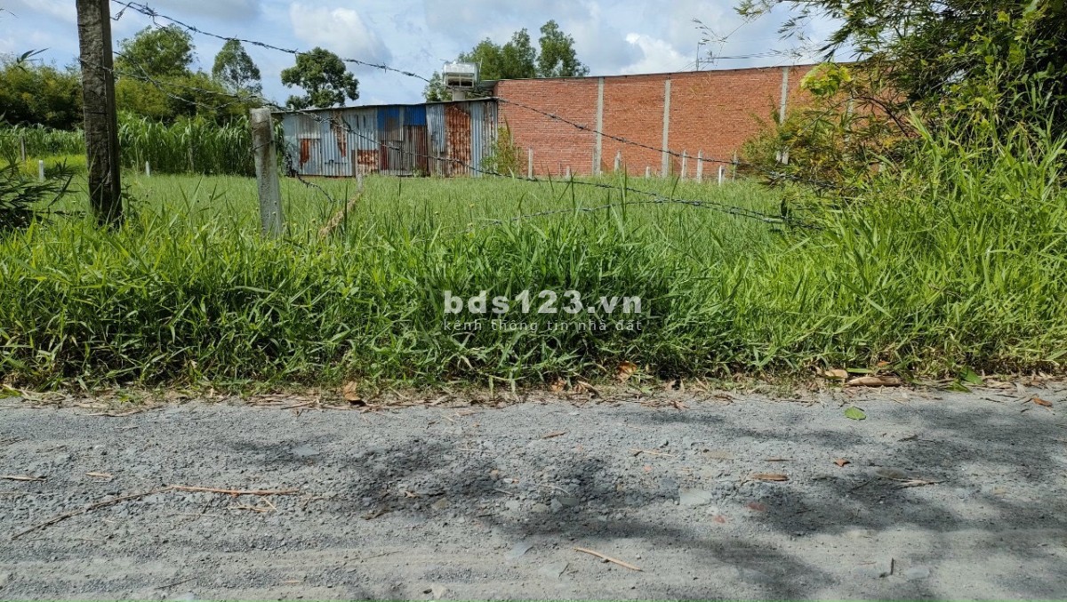 Bán Đất Củ Chi Chính Chủ Xã An Nhơn Tây, Đường 12 Mét, 232m2, Sổ Hồng Riêng, Giá 2,1 Tỷ