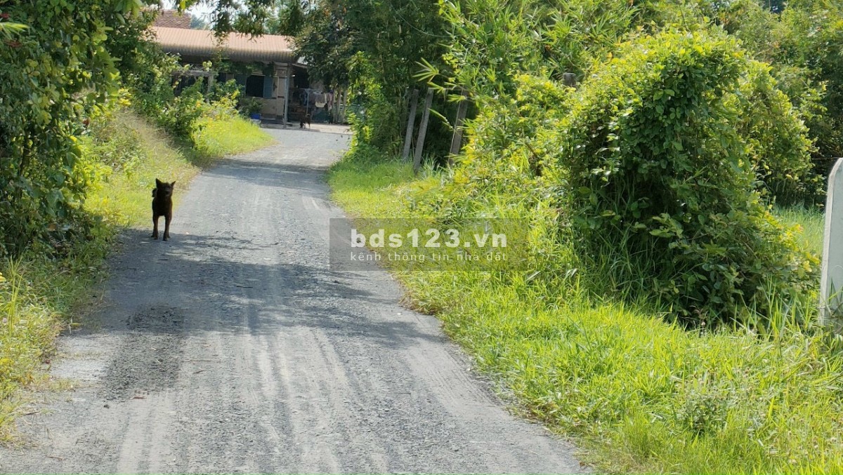 Bán Đất Củ Chi Chính Chủ Xã An Nhơn Tây, Đường 12 Mét, 232m2, Sổ Hồng Riêng, Giá 2,1 Tỷ