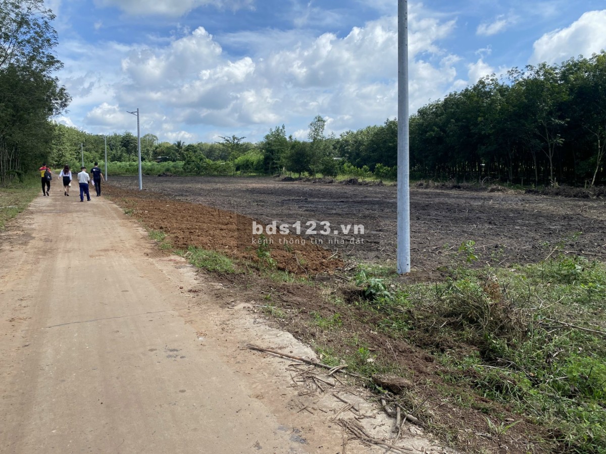Vỡ nợ cần tiền gấp bán rẻ lại miếng đất Tân Quan Hớn Quản giá đầu tư sinh lời