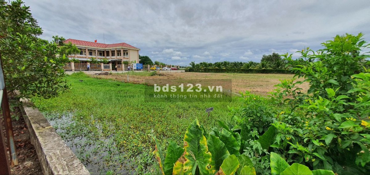 Bán đất gần Khu Công Nghiệp Linh Trung 3 diện tích 80m2 thổ cư