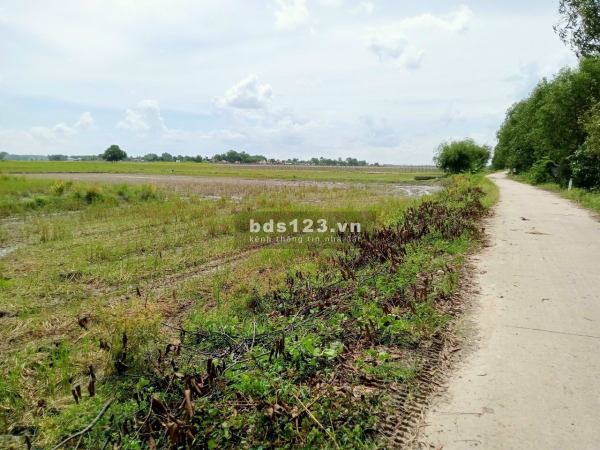 Bán đất chính chủ 2 mặt tiền đường, 2700m2, sổ hồng riêng, giá 1,3 Triệu/m2