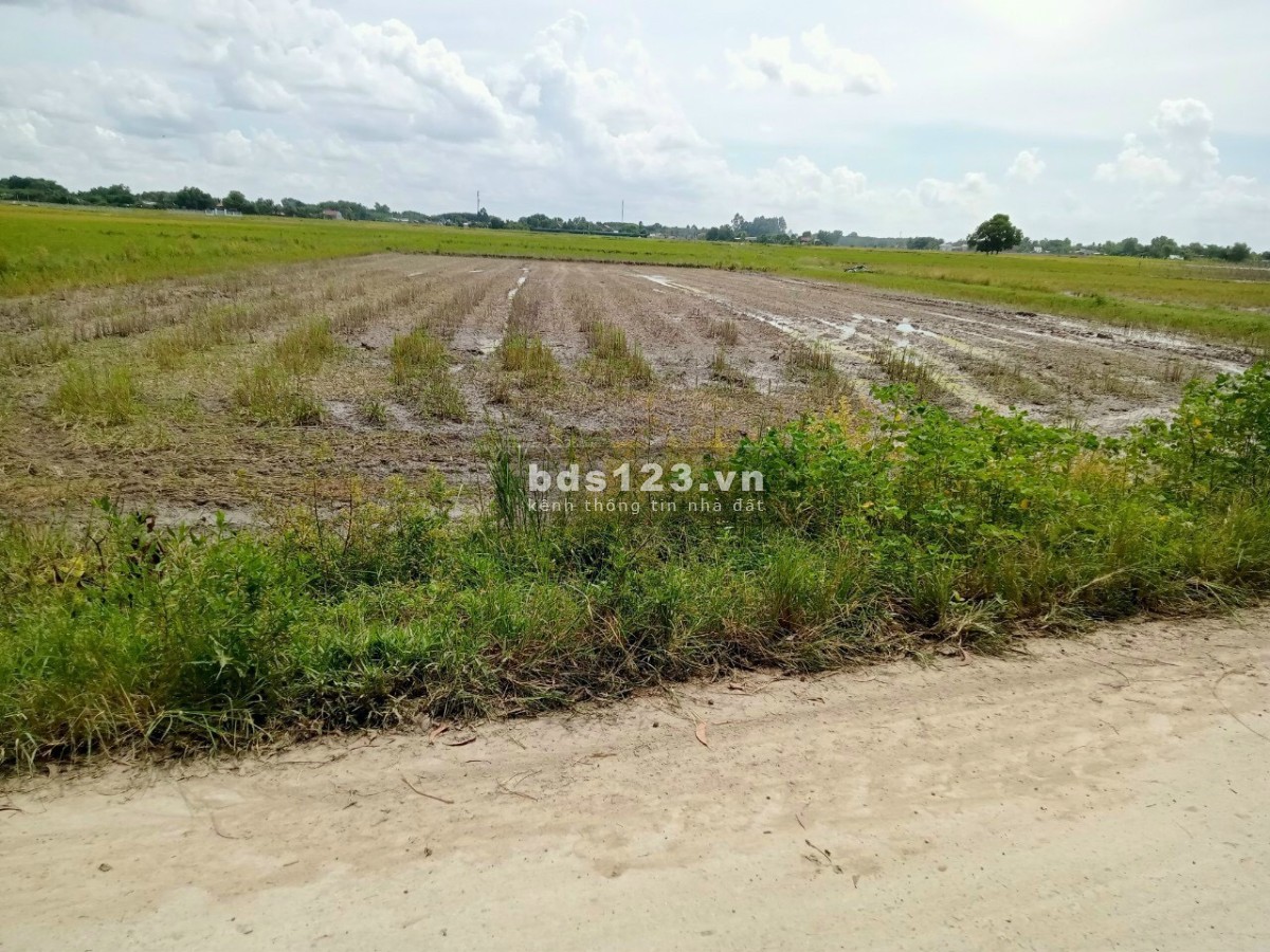 Bán đất chính chủ 2 mặt tiền đường, 2700m2, sổ hồng riêng, giá 1,3 Triệu/m2