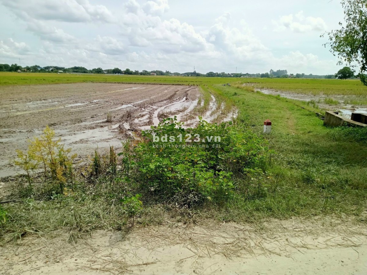 Bán đất chính chủ 2 mặt tiền đường, 2700m2, sổ hồng riêng, giá 1,3 Triệu/m2