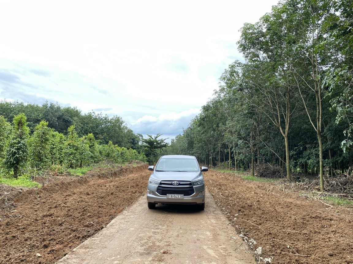 Đất Tân Lợi Đông Phú Bình Phước giá đầu tư sinh lời, sổ sẵn