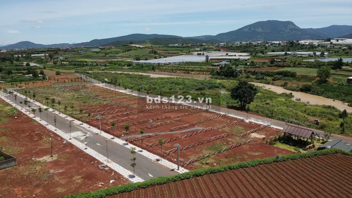 Cần bán gấp mấy lô đất nghỉ dưỡng tại Lâm Đồng, sổ riêng, giá tốt 3.5 tỷ