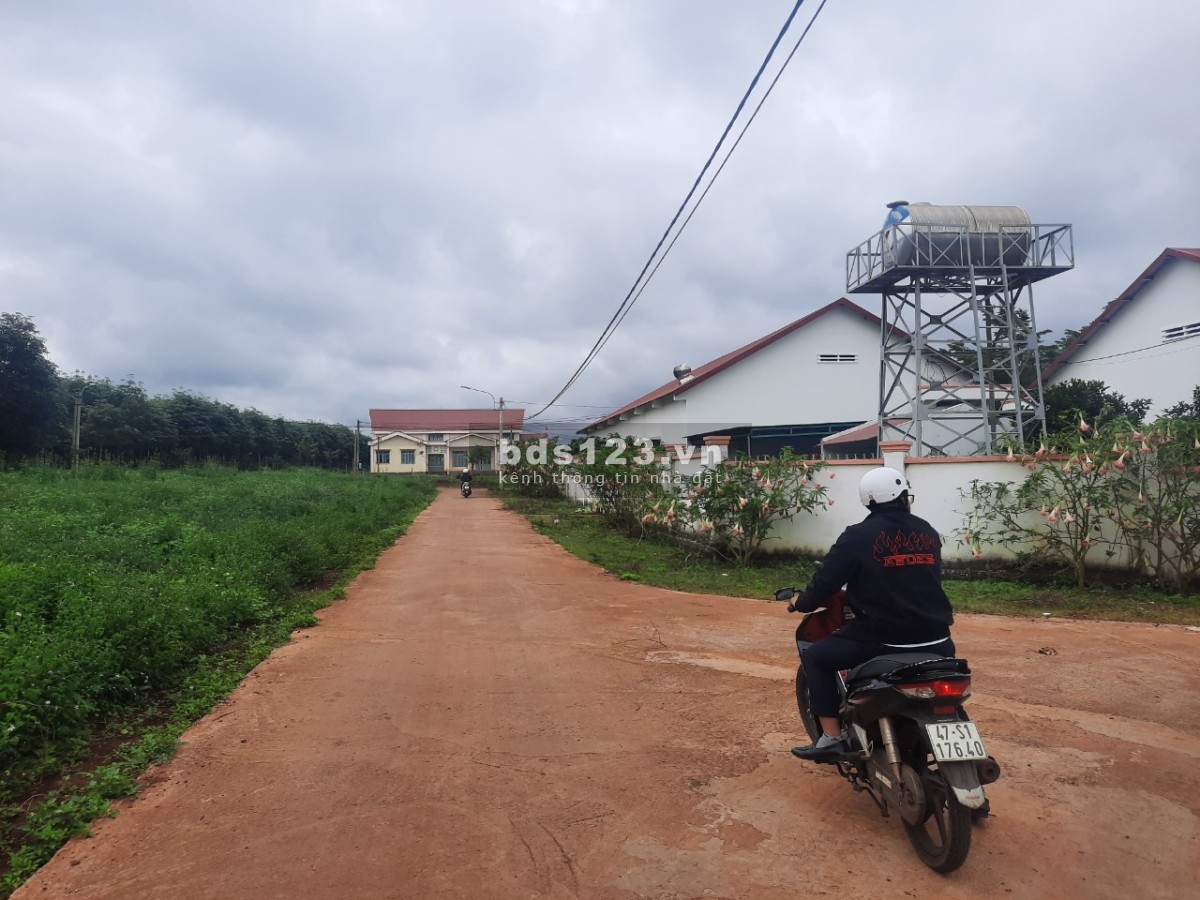 Diện tích 260m2 sổ đỏ full thổ cư ngay trung tâm mới Krông…
