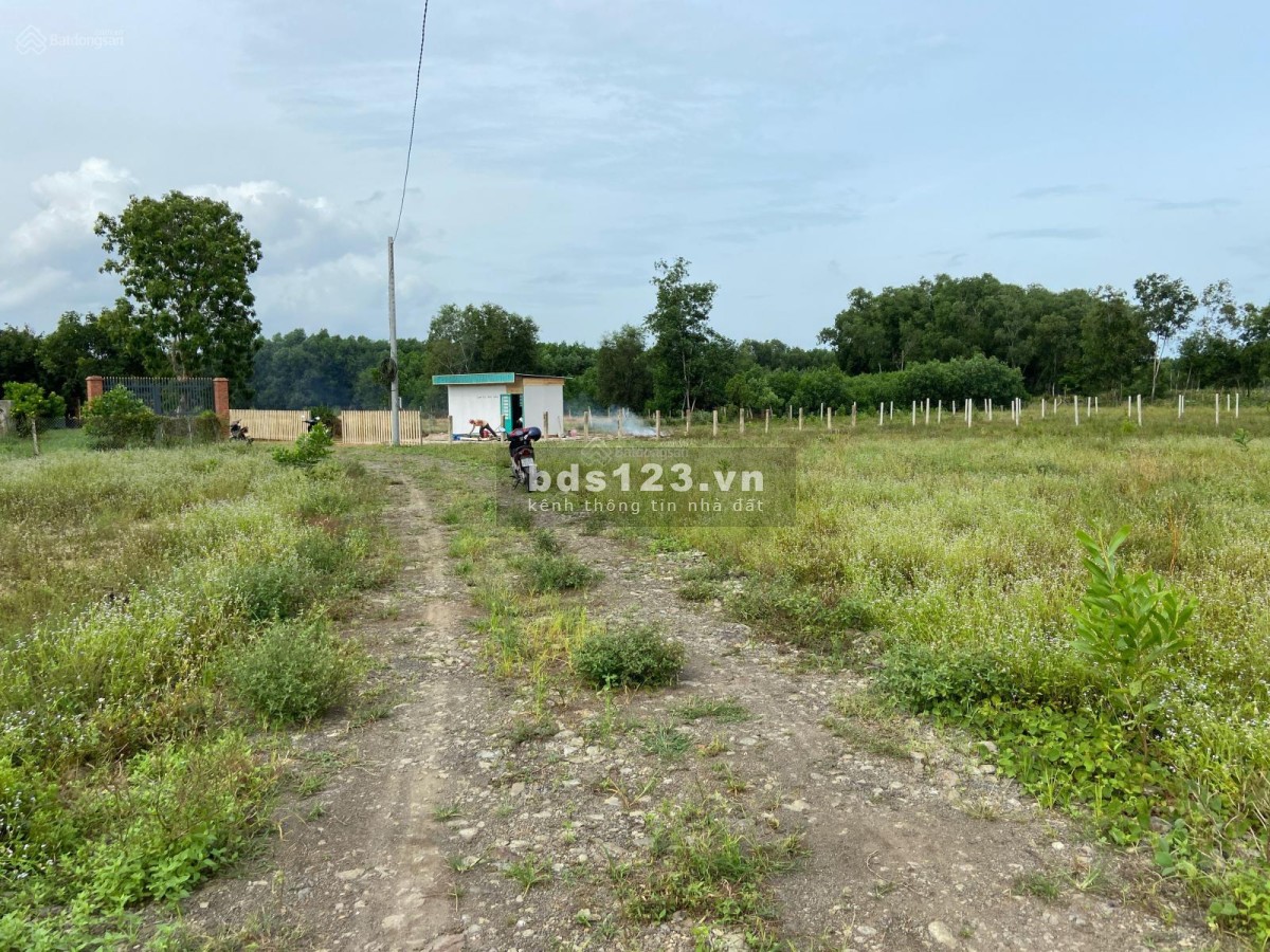 1017m2 đất ngay sát dự án đường 56 Bưng Riềng. Sổ riêng, đường xe hơi