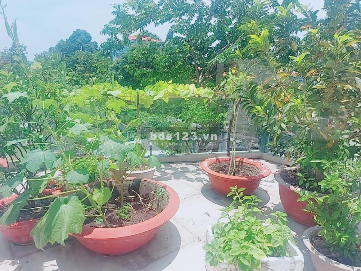 Building Quận 8 3 mặt tiền đường 12m, 6 tầng bê tông cốt thép, gần 200m2, công nhận đủ chỉ 16.8 tỷ