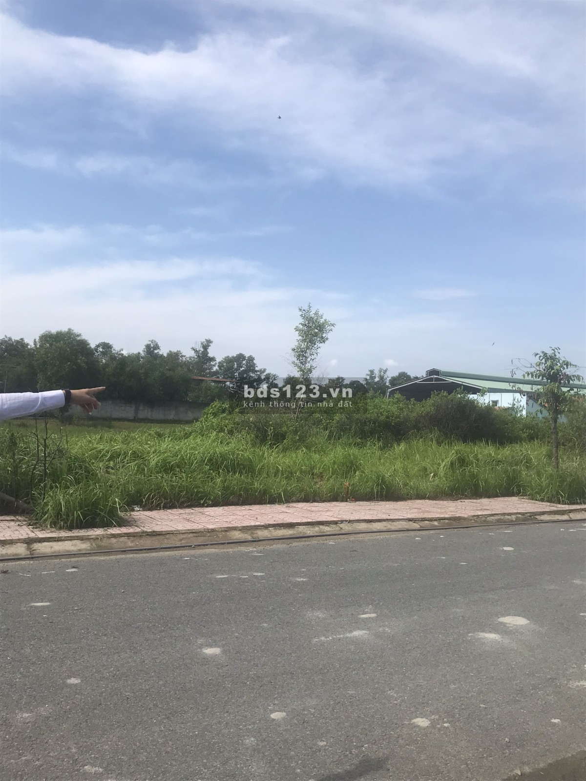 Do cần tiền cần bán gấp lô đất ở Cần Đước Long An diện tích 100m2 1TY3