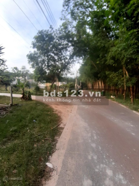 Bán đất ngay trung tâm Minh Hòa - Dầu Tiếng 121m2, 440 triệu, sổ hồng riêng