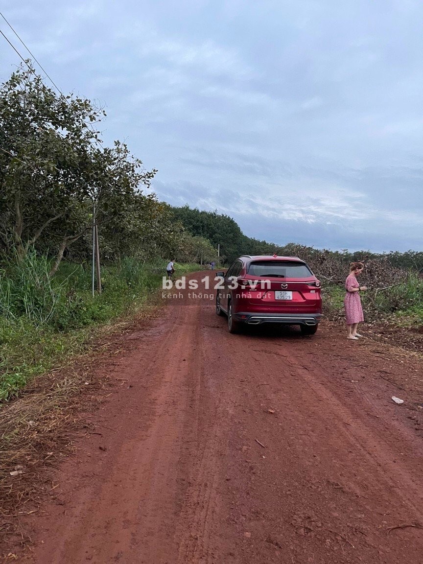 Chính chủ cần bán đất nền Bình Phước thổ cư hạ tầng hoàn thiện