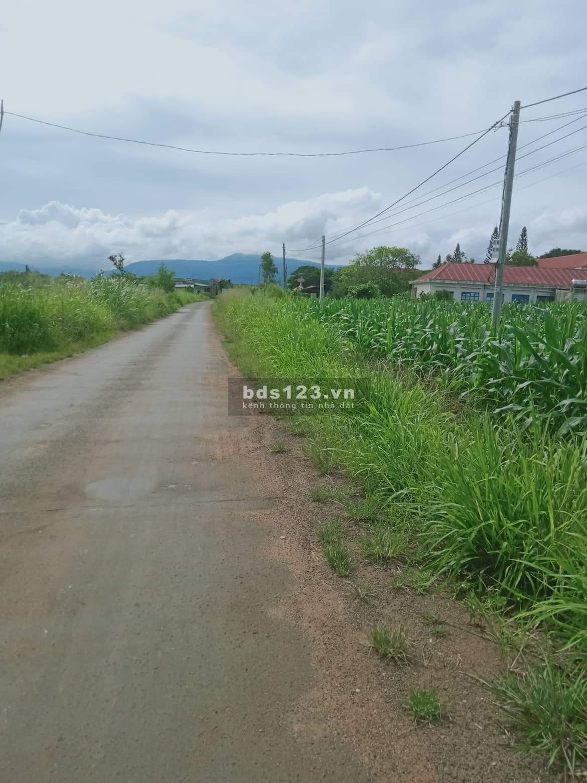 Chính Chủ bán lỗ 200tr 6ha đất rẫy ở xã Kông Lơng Khơng, gần trường THPT Anh Hùng Núp