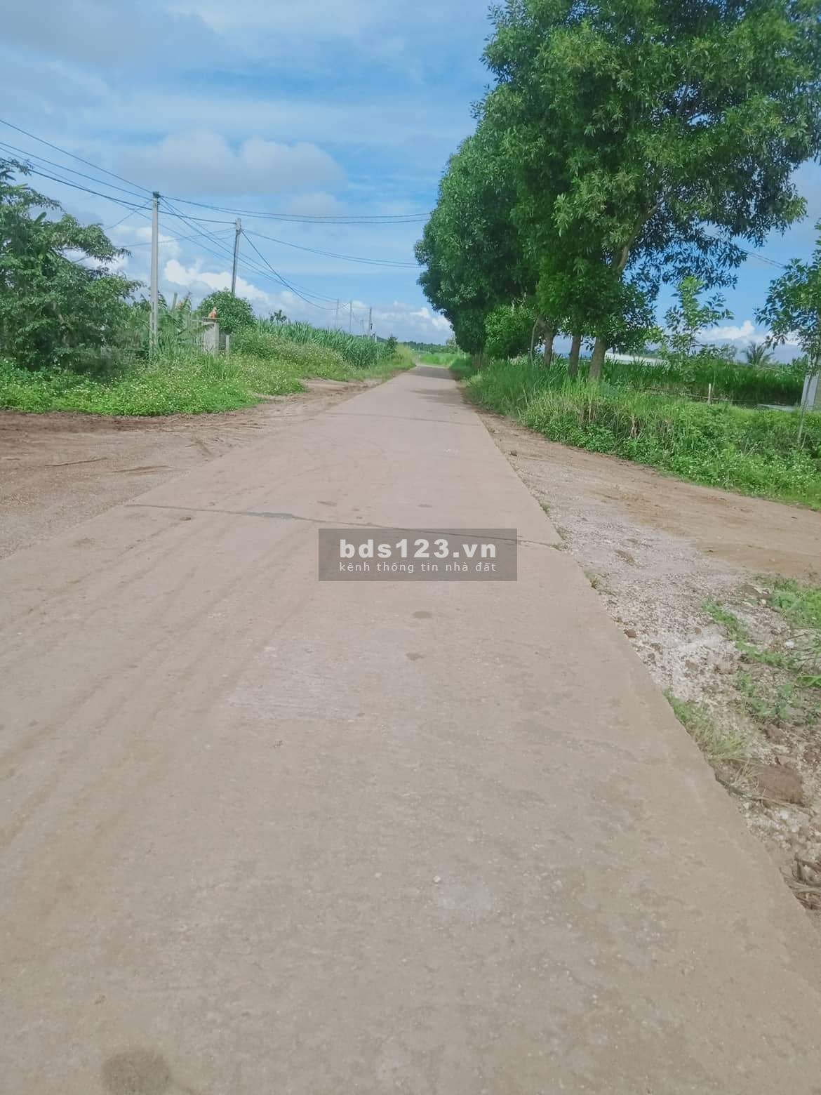 Chính Chủ bán lỗ 200tr 6ha đất rẫy ở xã Kông Lơng Khơng, gần trường THPT Anh Hùng Núp