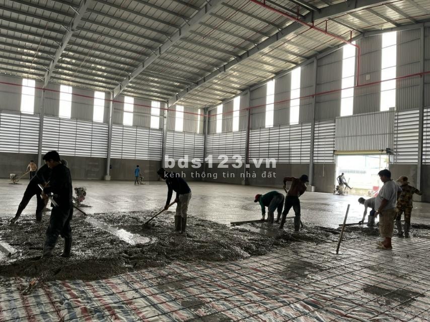 Cho thuê kho xưởng diện tích 1000m2 mới 100% trong KCN Xuyên Á, Đức Hòa, Long An