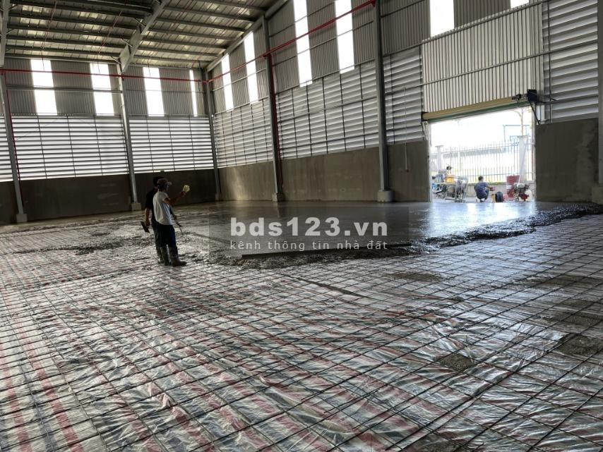 Cho thuê kho xưởng diện tích 1000m2 mới 100% trong KCN Xuyên Á, Đức Hòa, Long An