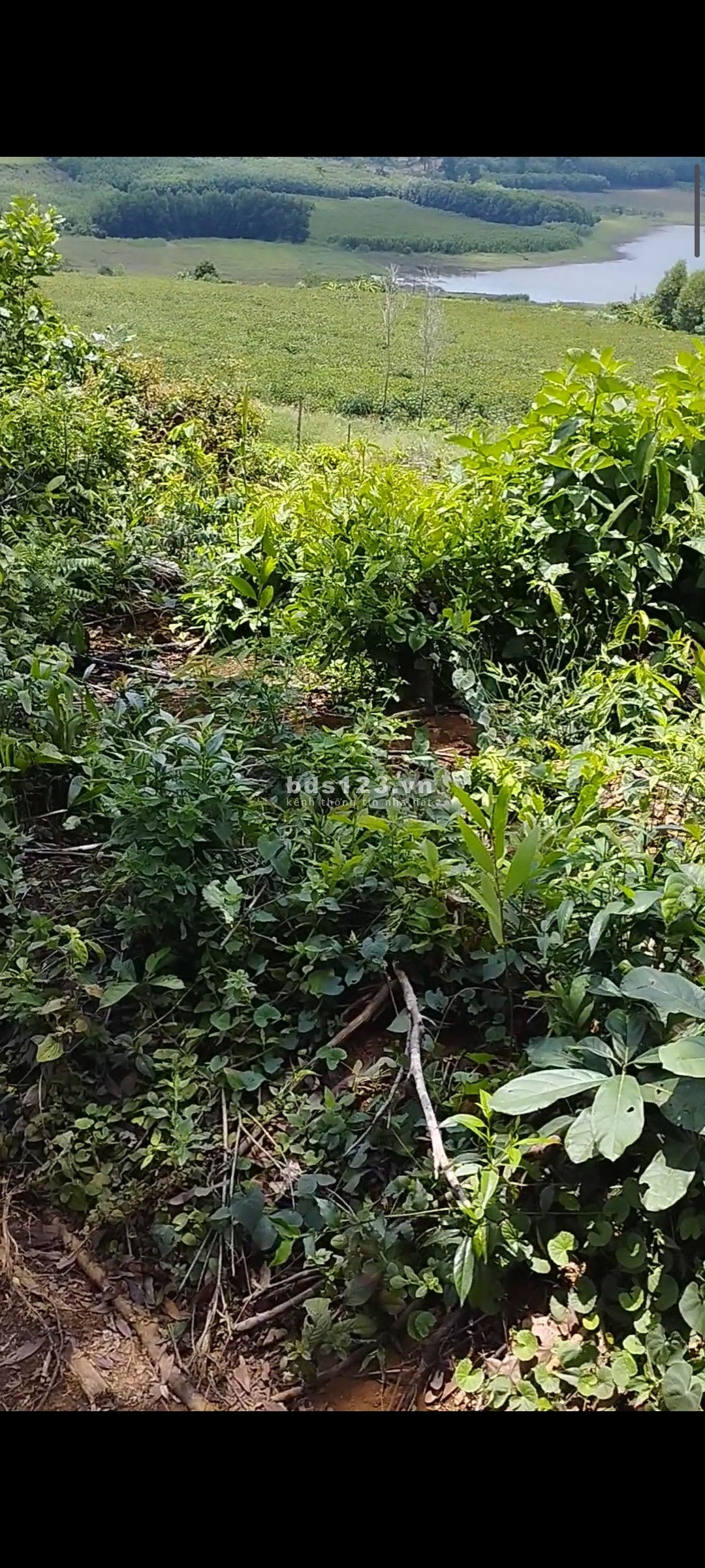 Đất view hồ cao nguyên vân hoà diện tích sử dụng 3200m2 chỉ 390 triệu