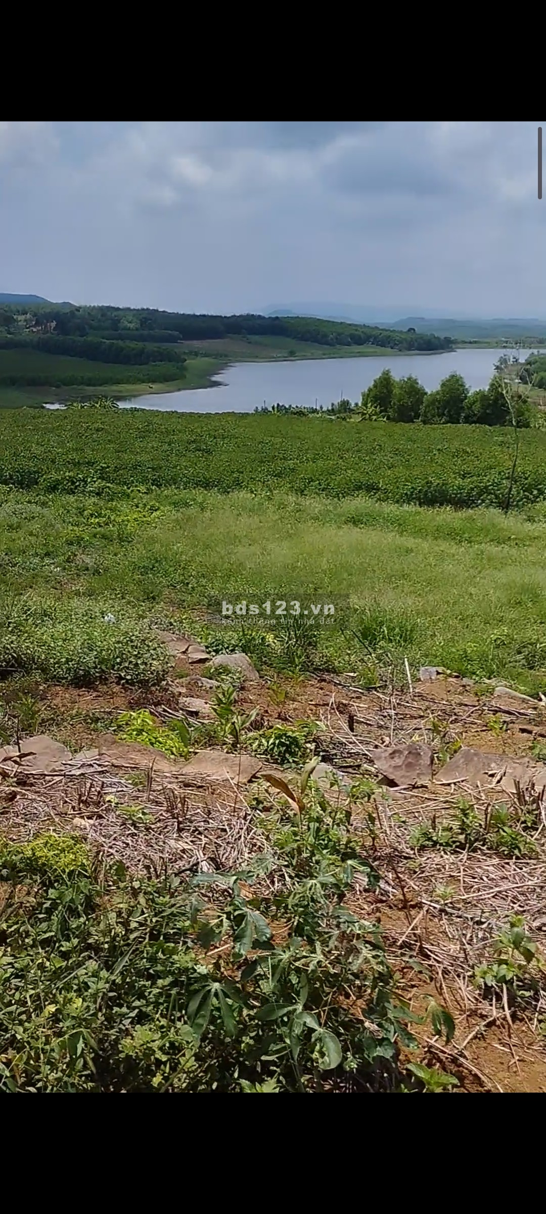 Đất view hồ cao nguyên vân hoà diện tích sử dụng 3200m2 chỉ 390 triệu
