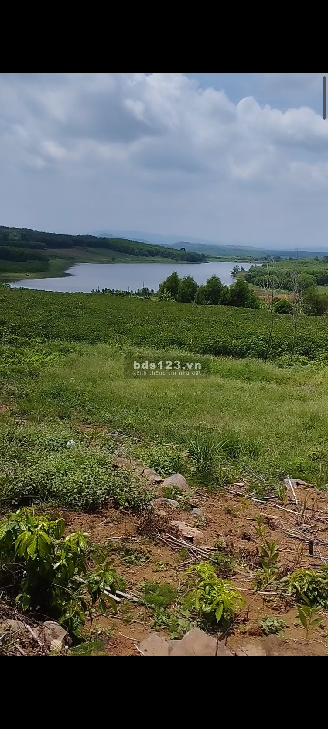 Đất view hồ cao nguyên vân hoà diện tích sử dụng 3200m2 chỉ 390 triệu
