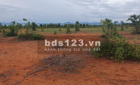Sở hữu ngay lô đất vườn siêu đẹp ở Lương Sơn sổ sẵn giá tốt