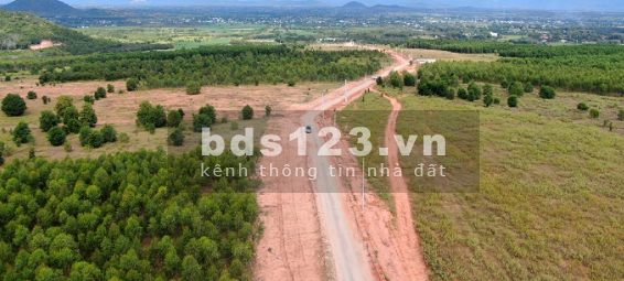 Sở hữu ngay lô đất vườn siêu đẹp ở Lương Sơn sổ sẵn giá tốt