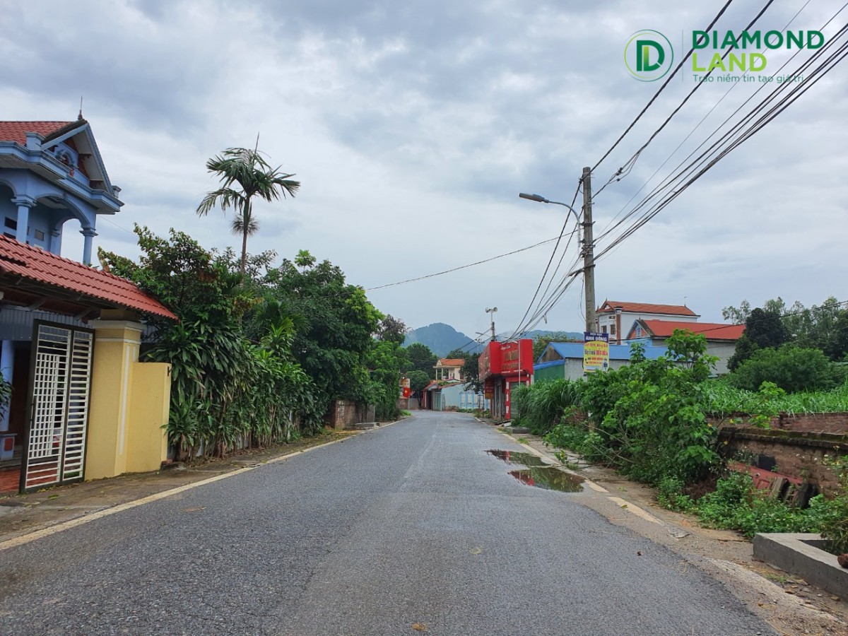 Bán 120m2 mặt đường nhựa Thái Lai, Minh Trí, Sóc Sơn. giá Chính Chủ
