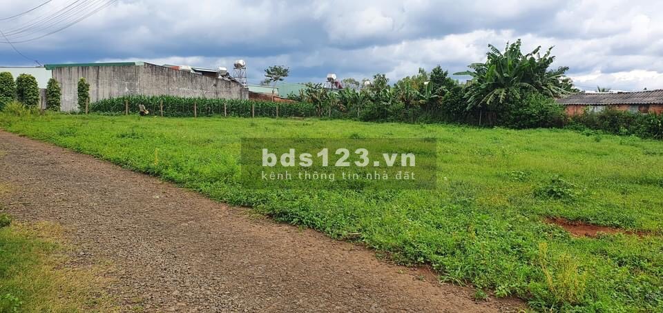 Chính chủ kẹt tiền bán gấp lô đất ở TP. Pleiku với mức giá ưu đãi