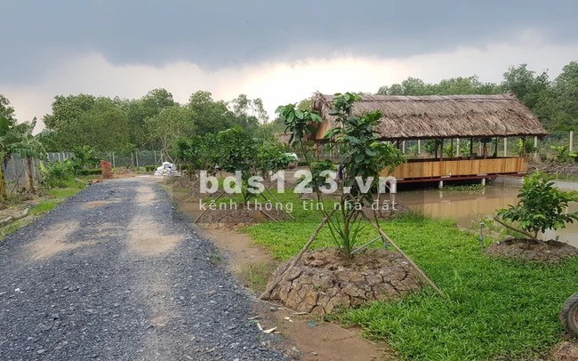 Gò Dầu diện tích 1379m2 giá 500 triệu cần ra gấp trong tháng, liên hệ 0379158431