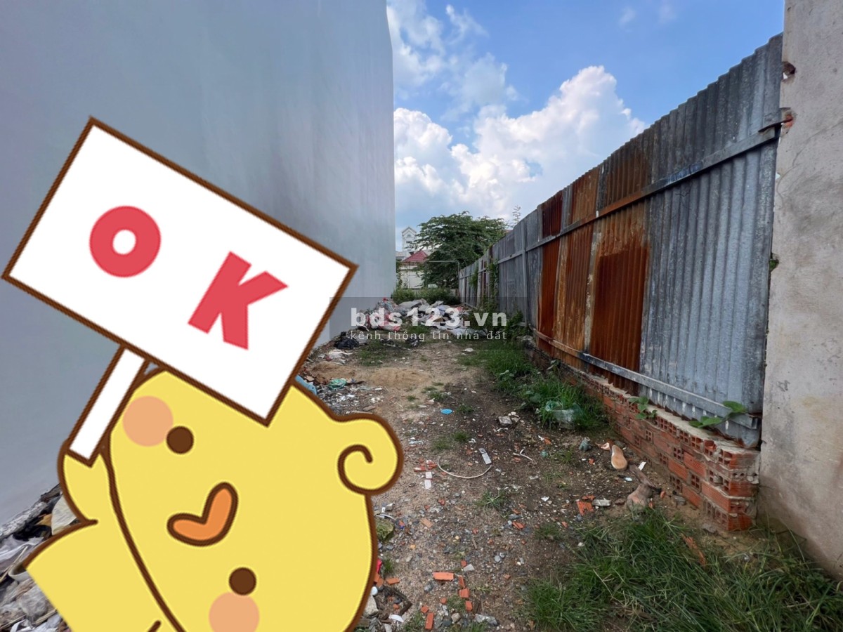 Chính chủ cần gửi bán lô đất mặt tiền đường Tân Long Bình Chánh Giá 1ty3