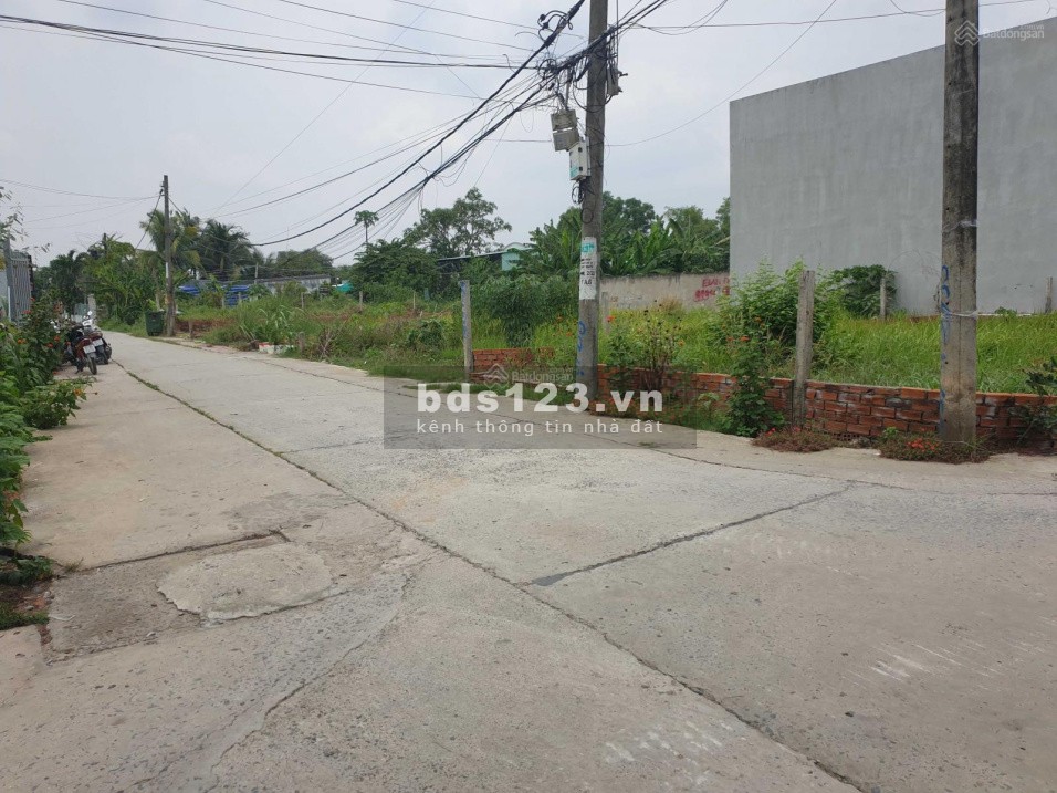 Cần Bán Gấp Đất Thổ Cư tại Đoàn Nguyễn Tuấn, Bình Chánh, SHR, 211 m2, 2tỷ6.