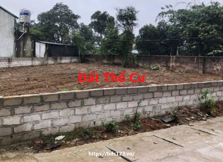 mua-ban-dat-son-tay-chinh-chu-hieu-qua_1663061118.jpg Mua bán đất thổ cư Sơn Tây chính chủ, giá tốt