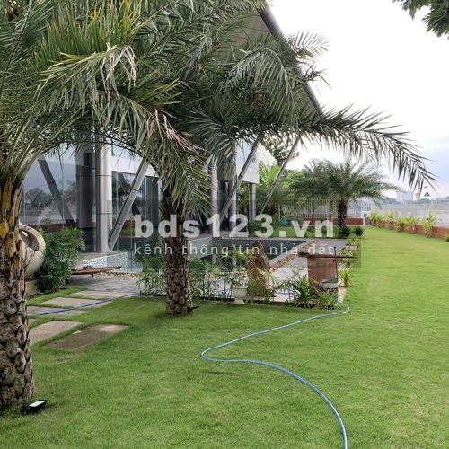 Cho thuê biệt thự 1.200m² mặt tiền sông Sài Gòn, P. Thảo Điền, Quận 2 300 triệu lh 0911.989.098