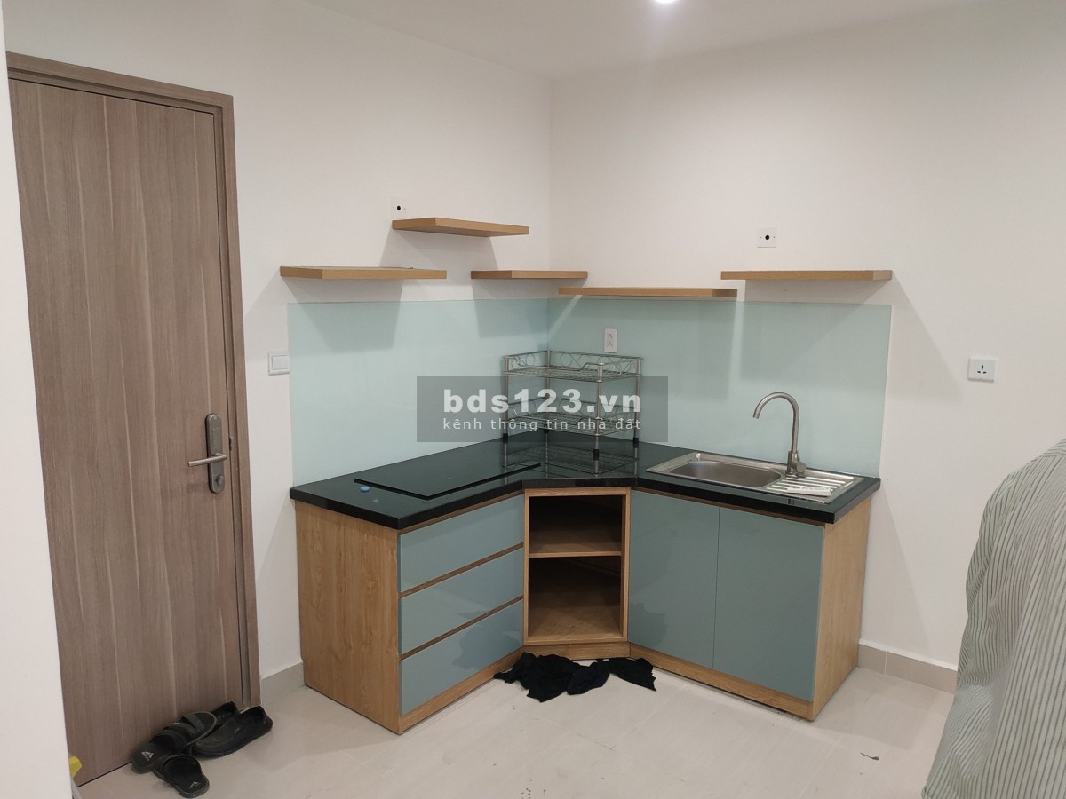 Cho thuê căn hộ chính chủ giá rẻ, diện tích 44m2, phòng ngủ 1 + 1, tầng 34