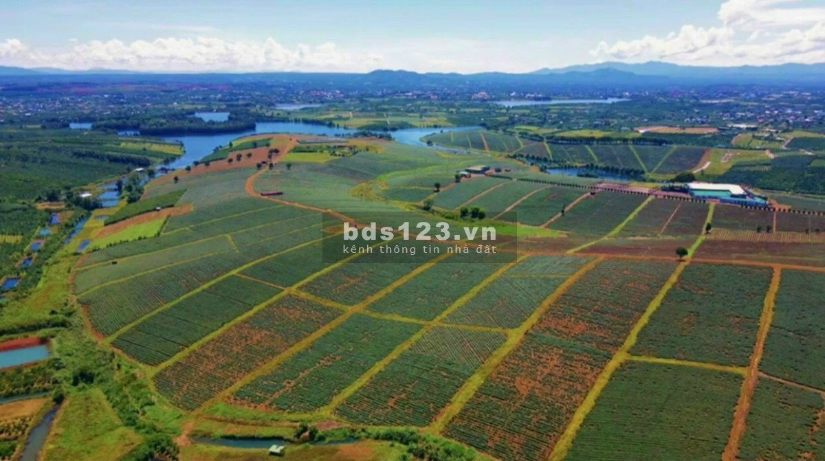 Đất nền săn mây chẳng lo về vốn, ngân hàng hỗ trợ vay, giá tốt